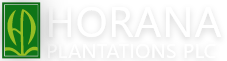 Horana Plantation PLC