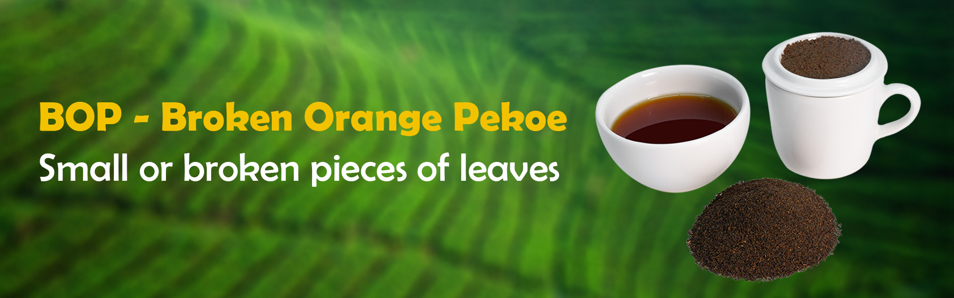 bop-broken-orange-pekoe-banner