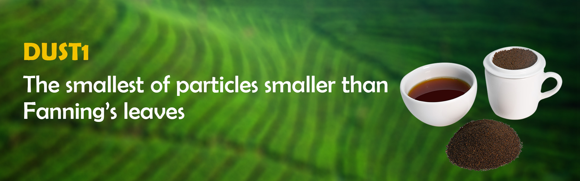dust1