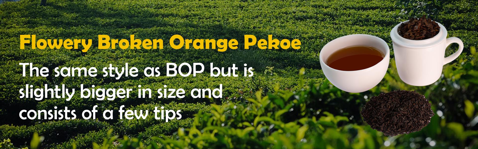 floowery-broken-orange-pekoe-banner