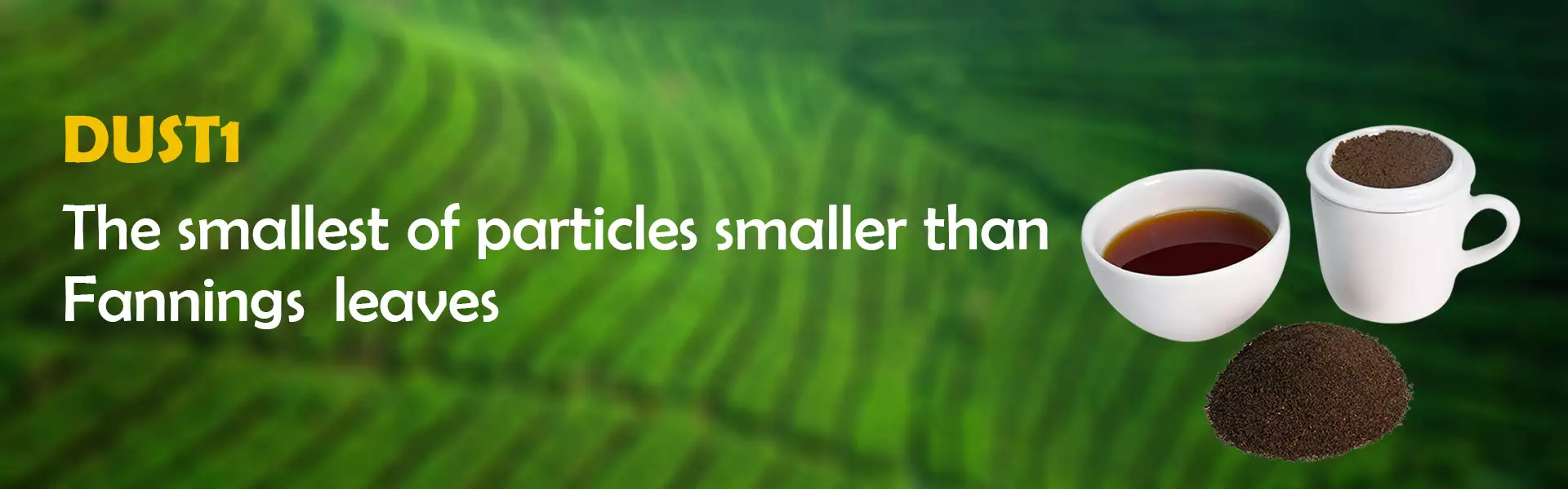dust1-v1