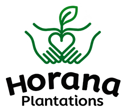 Horana Plantation PLC